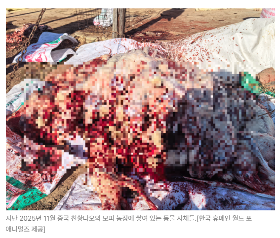 스크린샷 2026-06-10 090611.png