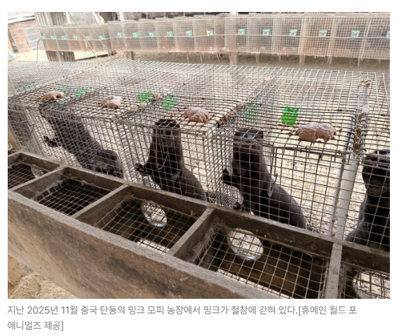 스크린샷 2026-06-10 090622.png