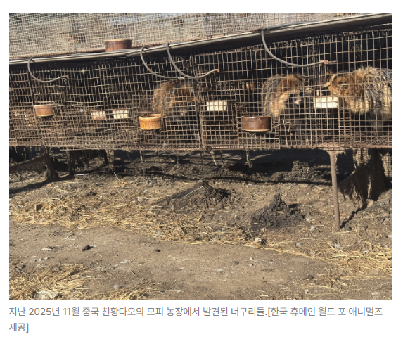스크린샷 2026-06-10 090653.png