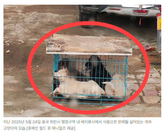 스크린샷 2026-06-15 090455.png