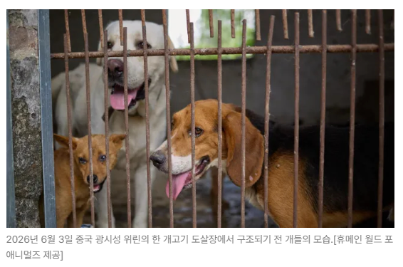 스크린샷 2026-06-15 090502.png
