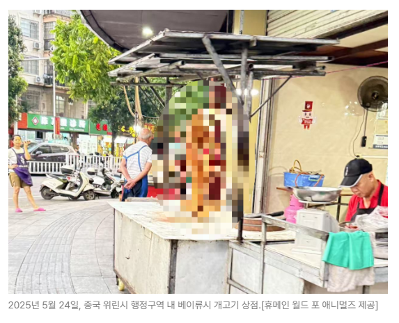 스크린샷 2026-06-15 090510.png