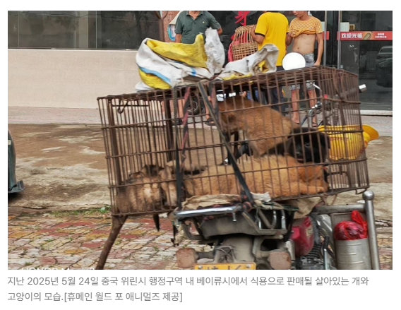 스크린샷 2026-06-15 090522.png