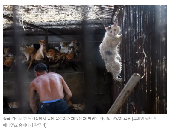 스크린샷 2026-06-15 090529.png