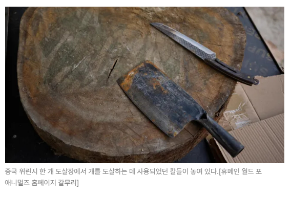 스크린샷 2026-06-15 090537.png