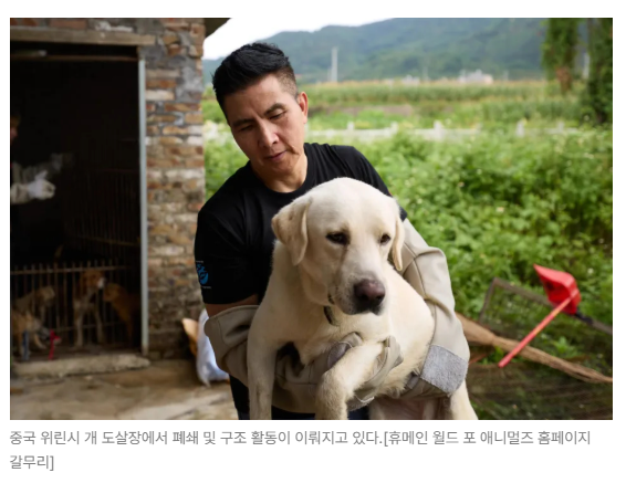 스크린샷 2026-06-15 090546.png