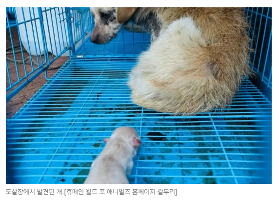 스크린샷 2026-06-15 090555.png