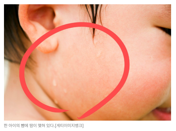 스크린샷 2026-06-18 090349.png