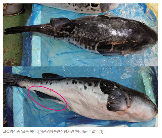 스크린샷 2026-06-23 090010.png