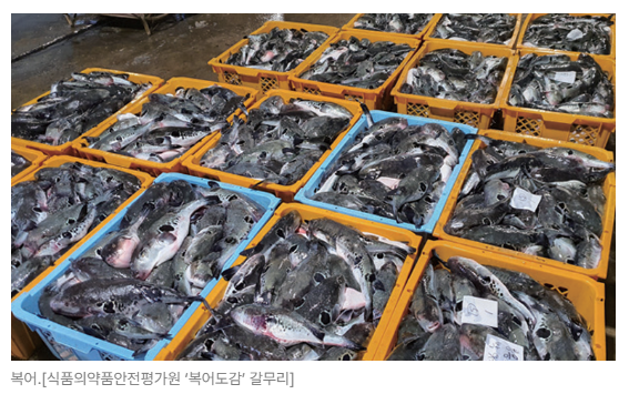 스크린샷 2026-06-23 090017.png