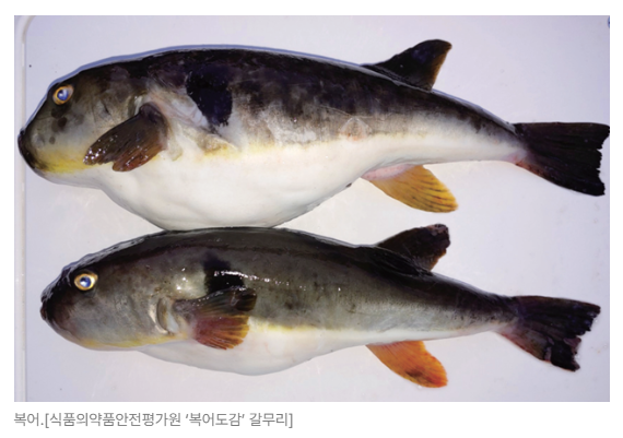 스크린샷 2026-06-23 090035.png