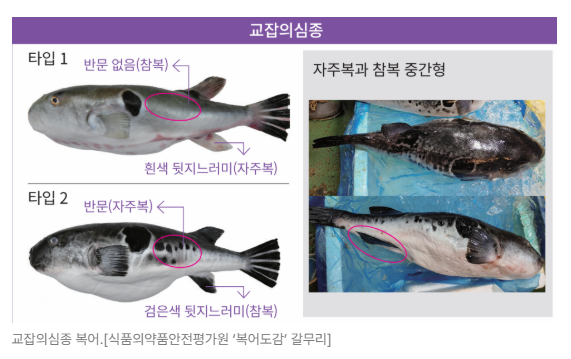 스크린샷 2026-06-23 090043.png