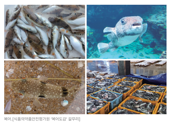 스크린샷 2026-06-23 090050.png
