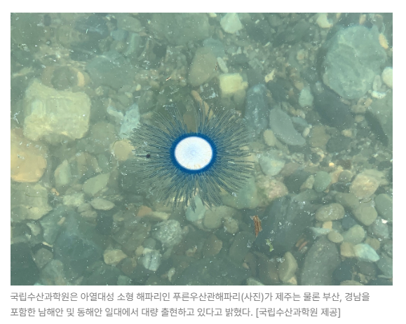 스크린샷 2026-06-23 090056.png