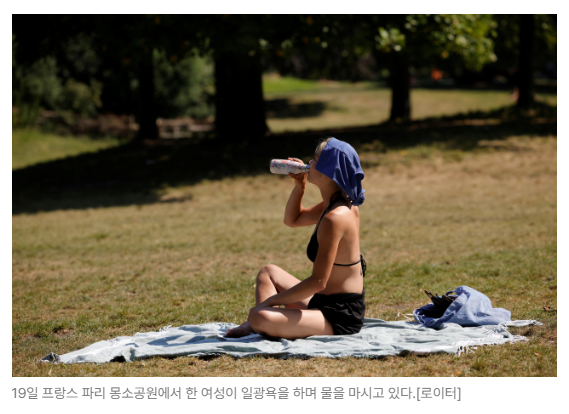 스크린샷 2026-06-24 090816.png