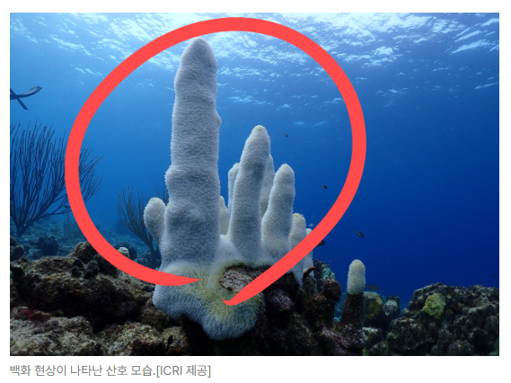 스크린샷 2026-06-29 090139.png
