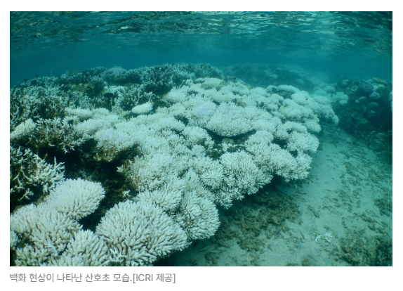 스크린샷 2026-06-29 090147.png