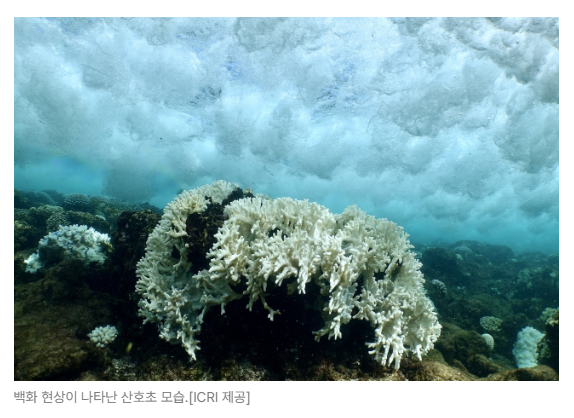 스크린샷 2026-06-29 090154.png
