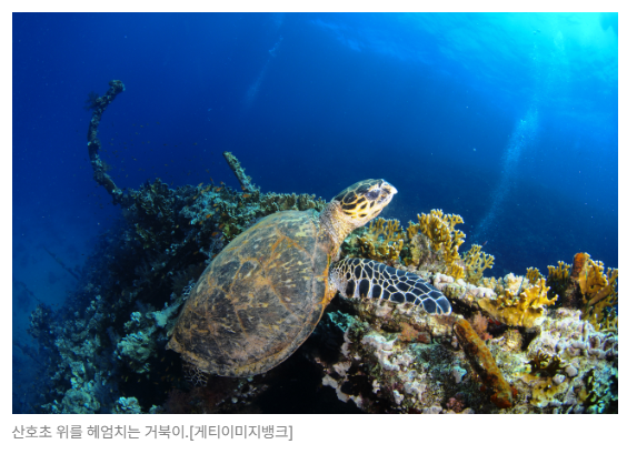 스크린샷 2026-06-29 090201.png