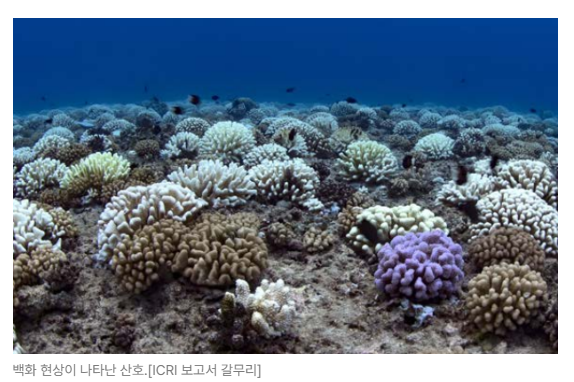 스크린샷 2026-06-29 090214.png