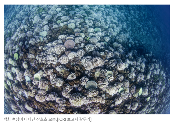 스크린샷 2026-06-29 090218.png