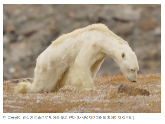 스크린샷 2026-06-29 091006.png