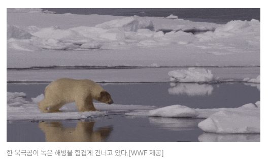 스크린샷 2026-06-29 091011.png