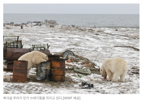 스크린샷 2026-06-29 091018.png
