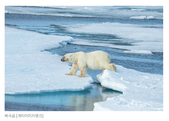 스크린샷 2026-06-29 091041.png