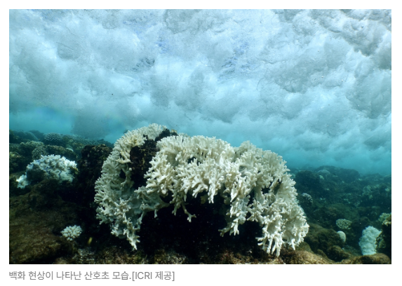 스크린샷 2026-07-01 090044.png