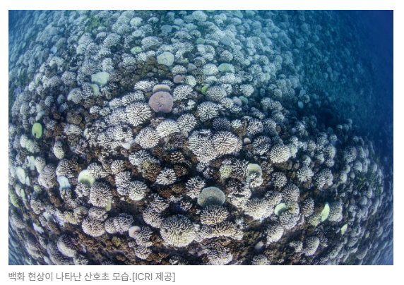 스크린샷 2026-07-01 090106.png