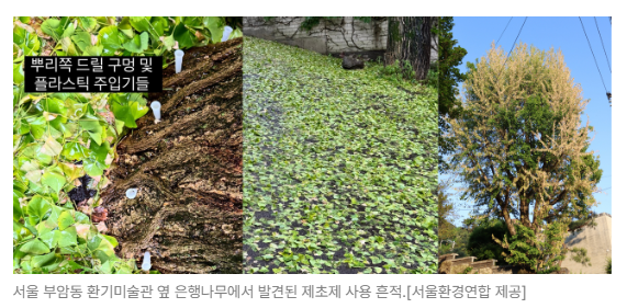 스크린샷 2026-07-02 090441.png