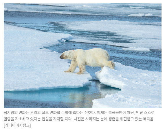 스크린샷 2026-07-03 090711.png
