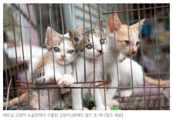 스크린샷 2026-07-06 090523.png