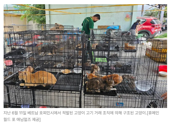 스크린샷 2026-07-06 090530.png