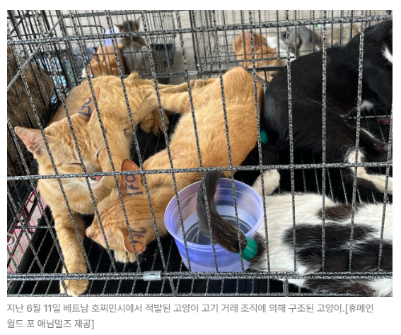 스크린샷 2026-07-06 090540.png