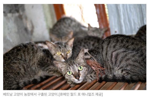스크린샷 2026-07-06 090548.png