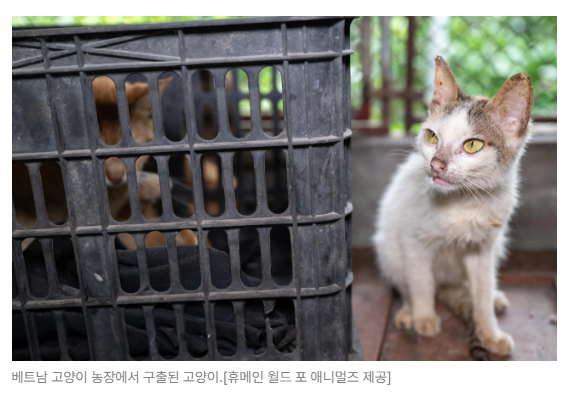 스크린샷 2026-07-06 090554.png
