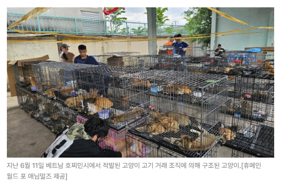 스크린샷 2026-07-06 090559.png
