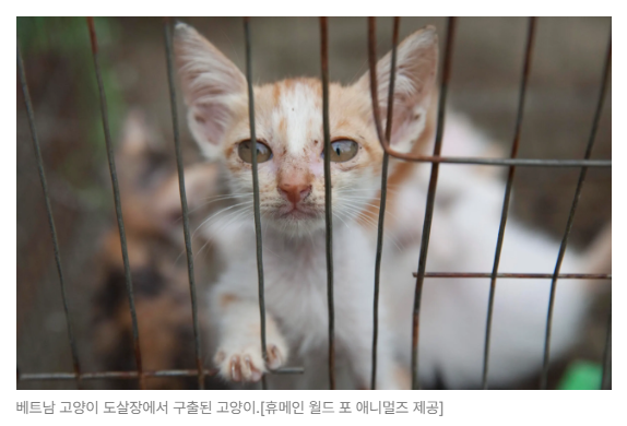 스크린샷 2026-07-06 090606.png