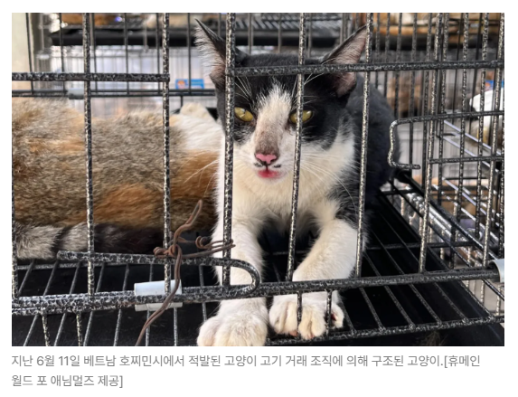스크린샷 2026-07-06 090612.png