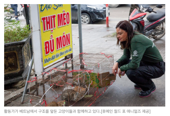 스크린샷 2026-07-06 090619.png