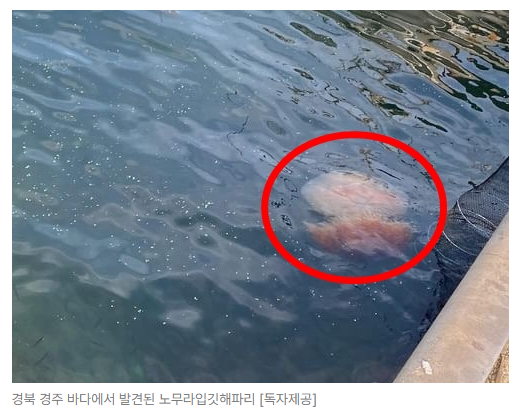 스크린샷 2026-07-07 090307.png