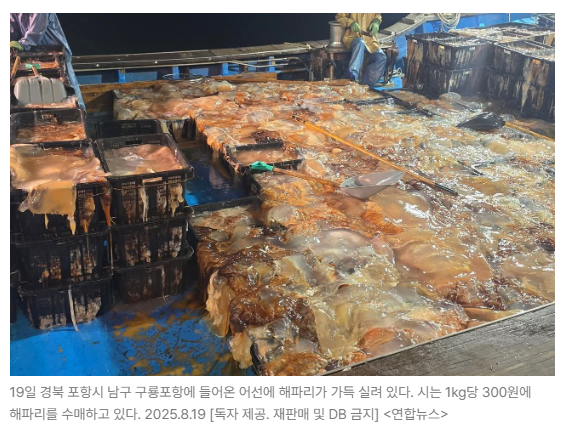 스크린샷 2026-07-07 090316.png