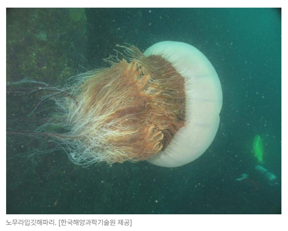 스크린샷 2026-07-07 090339.png