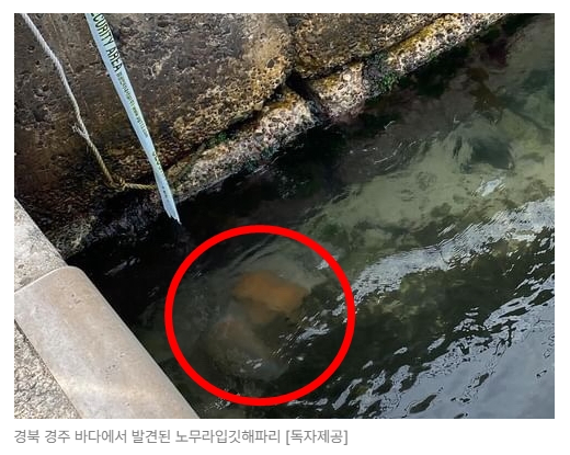 스크린샷 2026-07-07 090358.png