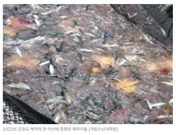 스크린샷 2026-07-07 090408.png