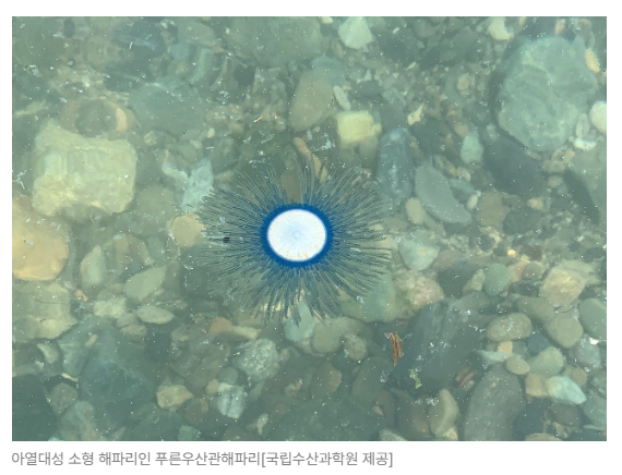스크린샷 2026-07-07 090419.png