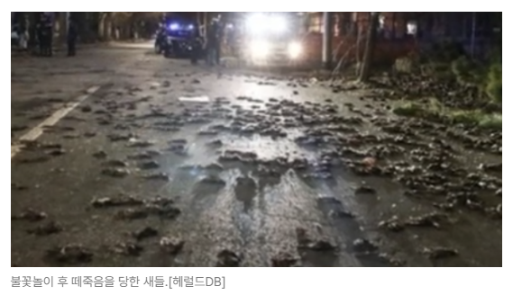 스크린샷 2026-07-08 090858.png