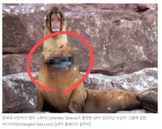 스크린샷 2026-08-05 093205.png